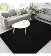 Black Rugs for Living Room,Minimalist Area Rugs 4x6,Soft Memory-Foam Rugs for Bedroom,Thicked Rug...