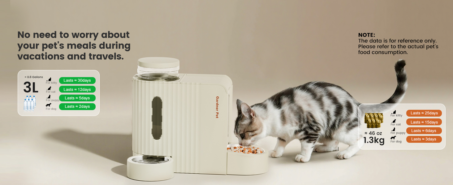 water and food dispenser for cats