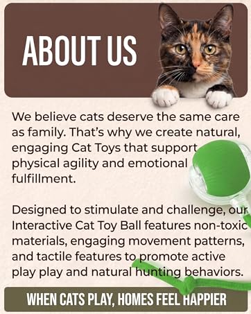 "About Us" graphic with a tortoiseshell cat, mission statement, and a green interactive toy ball.