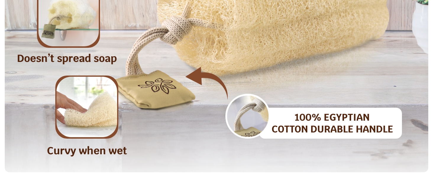 Loofah Sponge