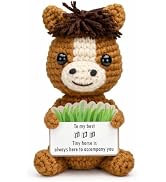 Handmade Crochet Horse Decorative Ornament Gift (mom)