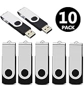 Aiibe 10 Pack 8GB USB Flash Drive Flash Drives USB 2.0 Thumb Drive Memory Stick Zip Drives Bulk (...