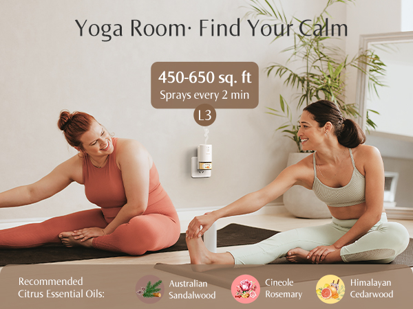 Studio · Energize Your Day