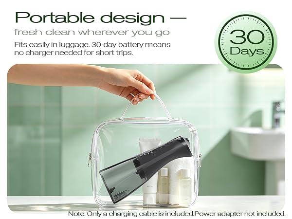 portable water flosser