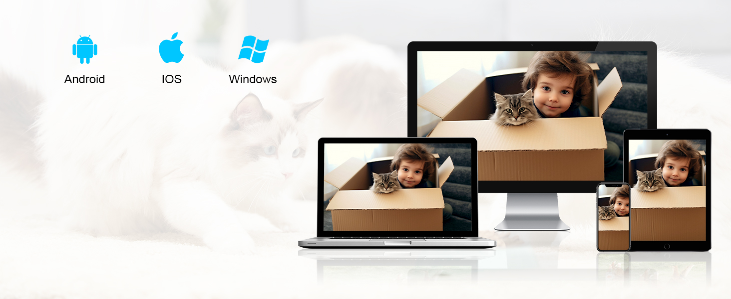 pet camera with laser