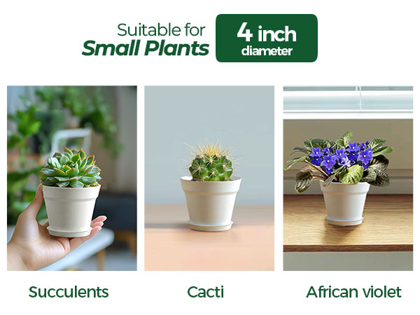 plant pots