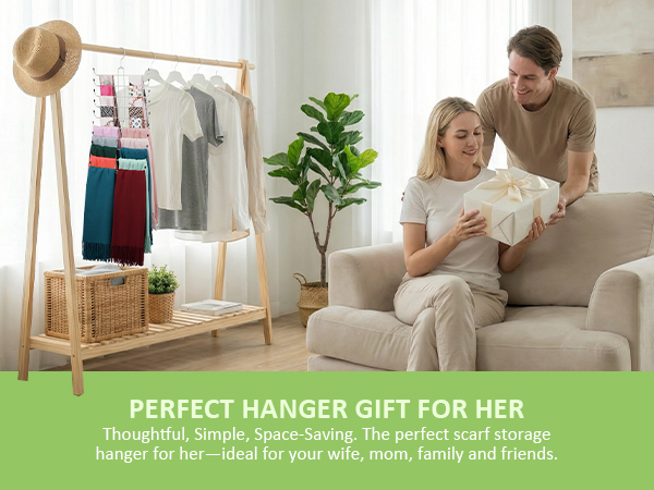 Scarf Organizer 5.1
