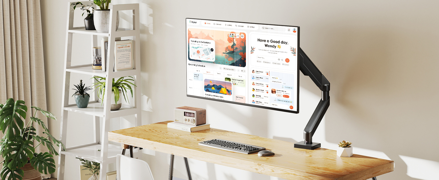 monitor arms