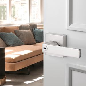 Door Lever