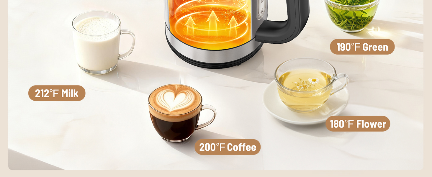 Stainless Steel Electric Kettle