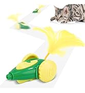 Migipaws cat Toy, Automatic Interactive Migicar Toy Like a Mouse, Intelligent Programme, Recharge...