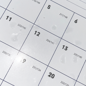 2026 yearly calendar