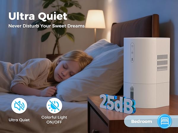 Quiet dehumidifier for home