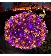 HISHINY Halloween Lights Outdoor,100LED 5ftx5ft Net Lights with Connectable, Waterproof,UL Certif...