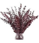 HIAGROW Dried Eucalyptus Stems Red,20PCS Dried Eucalyptus for Vase, 17inch Real Eucalyptus Plant ...
