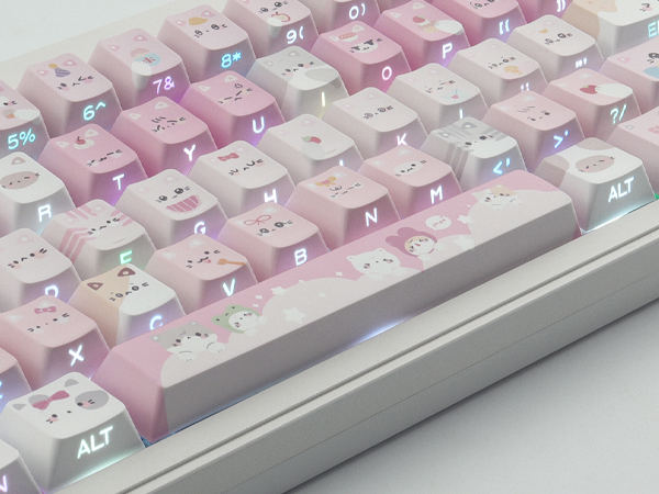 Dye-sub