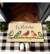 Yovirinto Summer Welcome Doormat 17"x30", Non-Slip Absorbent Entry Mat, Bird & Leaf Printed Welco...