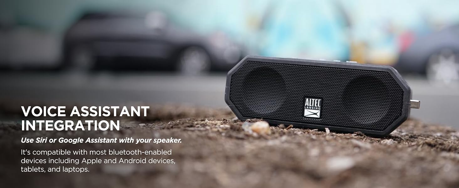 VOICE ASSISTANT