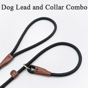 dog lead and collar in one design