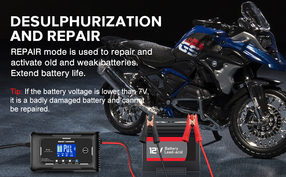 12V&24V Battery Charger