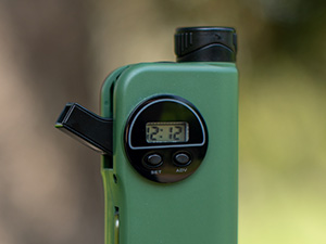 cp-11