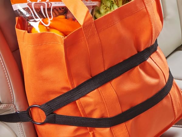 HoldTight in back seat holding a bag of groceries