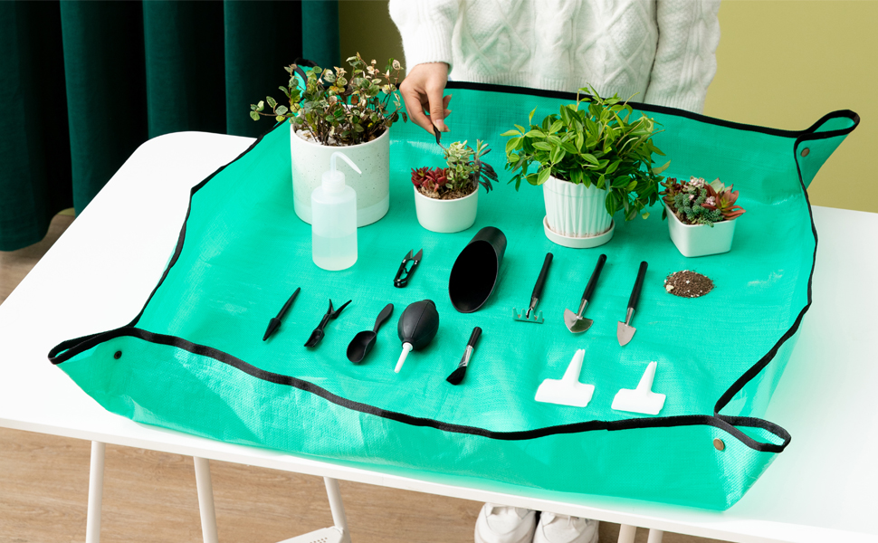 succulent tools set