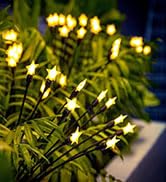 colcutee10 LED Solar Garden Lights, 2 Pack Solar Firefly Lights Outdoor Waterproof, Warm White St...
