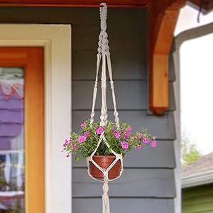 plant hanger indoor
