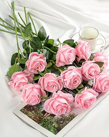 https://m.media-amazon.com/images/S/aplus-media-library-service-media/f3946a9f-7100-4de4-a784-d97ef32d2638.__CR161,0,1279,1600_PT0_SX362_V1___.jpg