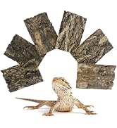 Apatal Natural Reptile Cork Bark Bedding Bearded Dragon Climbing Wall Mat 6PCS Cork Wood for Terr...