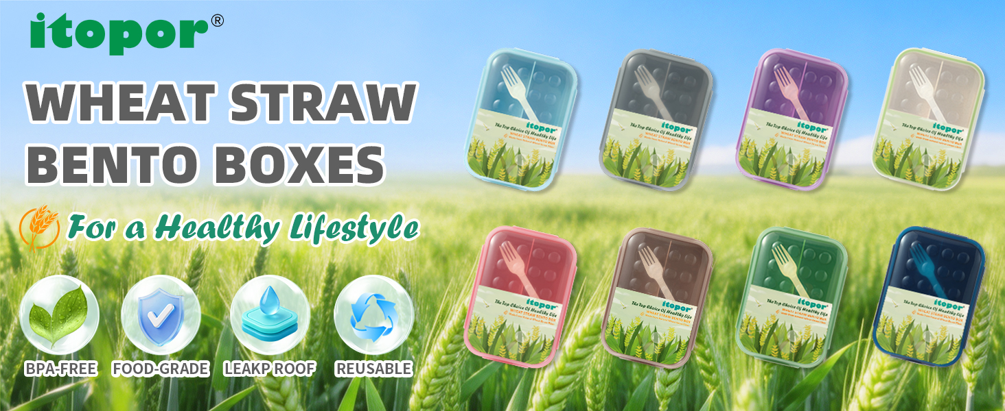 Wheat Straw Bento Box