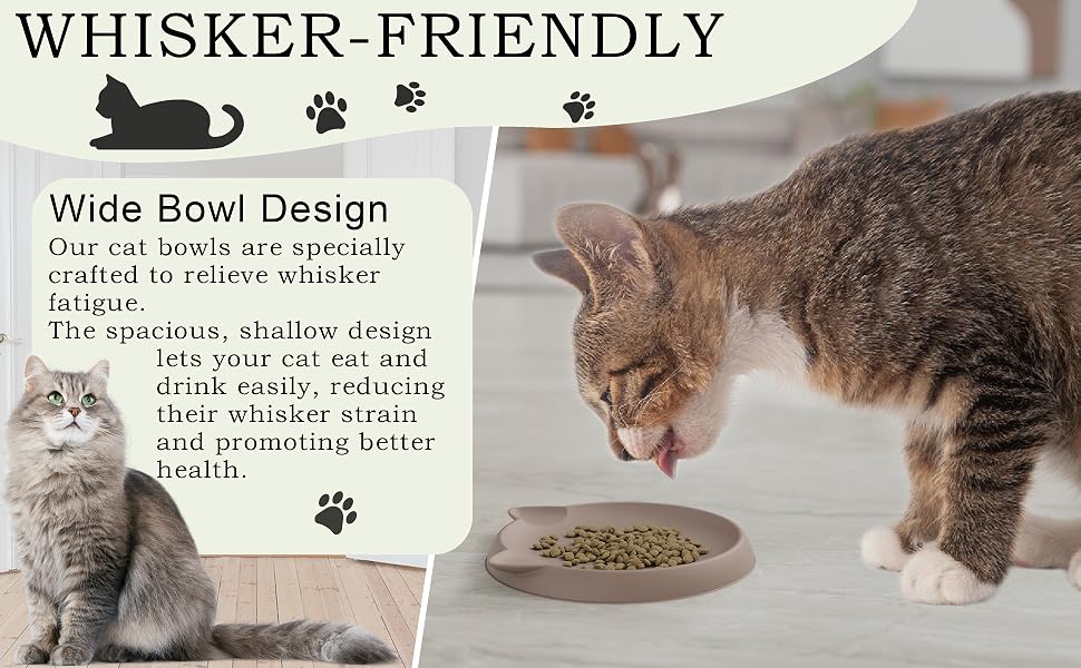 cat bowls