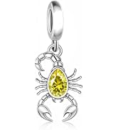 BSFJTY S925 Sterling Silver Waterdrop Birthstone Signs Charms, The Zodiac 12 Constellation Pendan...