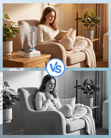 https://m.media-amazon.com/images/S/aplus-media-library-service-media/d8555399-4810-49d6-8f57-2f394252ad60.__CR0,0,362,453_PT0_SX362_V1___.jpg