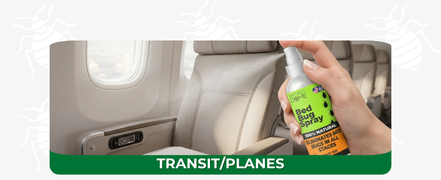 Bed bug spray for airplane seats and rental cars