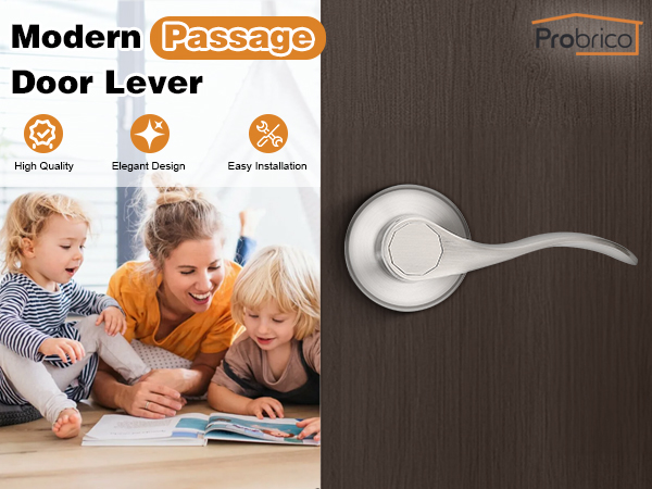 nickel passage door handle