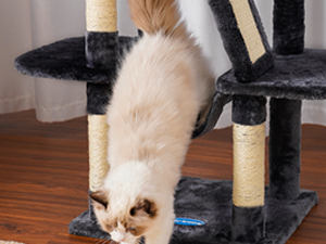 cat tree