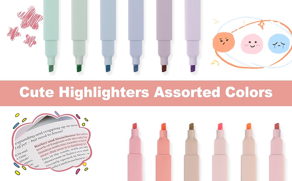 12PCS HIGHLIGHTERS FOR BIBLE