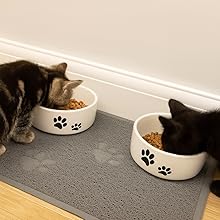 Pet food bowl on mat to catch food spills