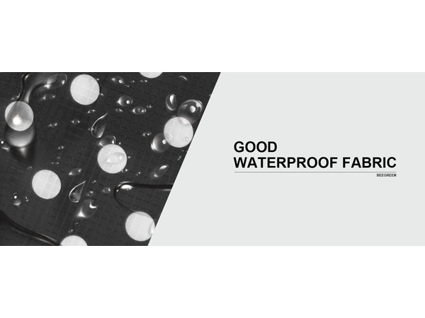 shoes bag