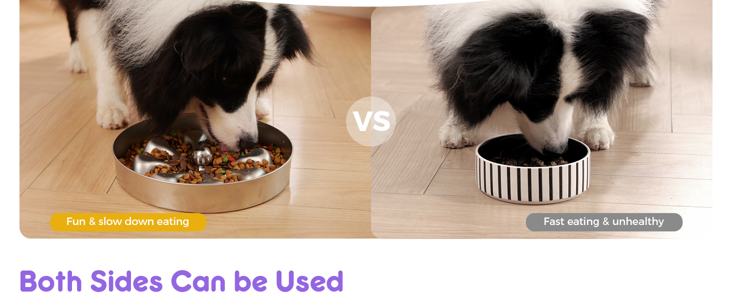 slow feeder dog bowls