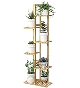 Laiensia Bamboo Plant Stand Rack 6 Tier,Multiple Stand Holder Shelf Rack, Indoor&Outdoor Planter ...