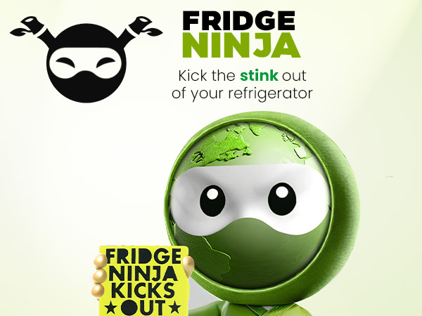Fridge Ninja Kick the Stink Out of Your Regrigerator