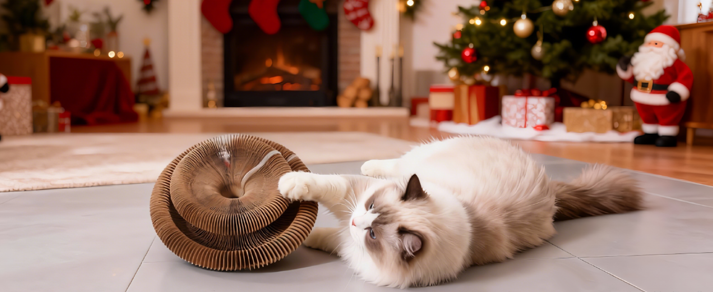 cats toys