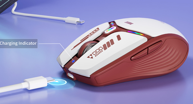 RECHAGEABLE MOUSE