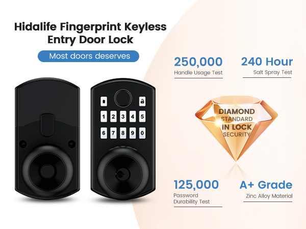 Keyless entry door lock