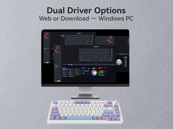 Web Driver