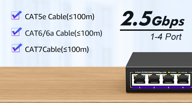 2.5g switch