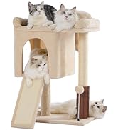 Pawfessor Small Cat Tree Tower for Adult Cats with Large Top Bed 20x13.8”Private Cat Condo,Sisal ...